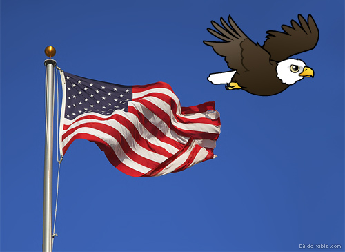 Bald Eagle with U.S. flag