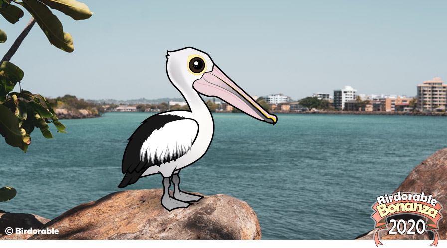 Birdorable Australian Pelican