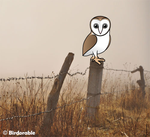 Birdorable Barn Owl