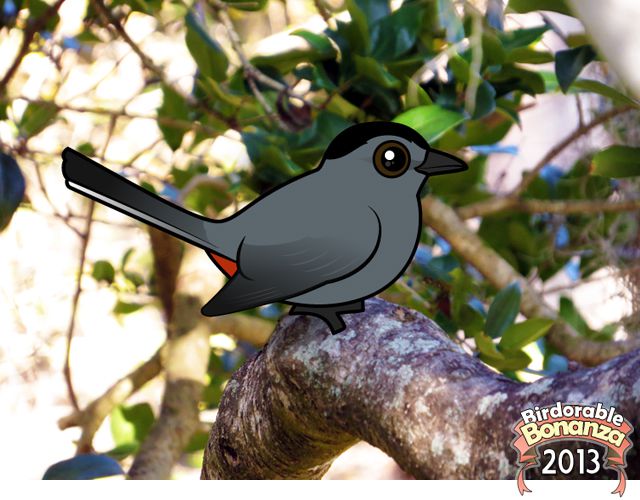 Birdorable Gray Catbird