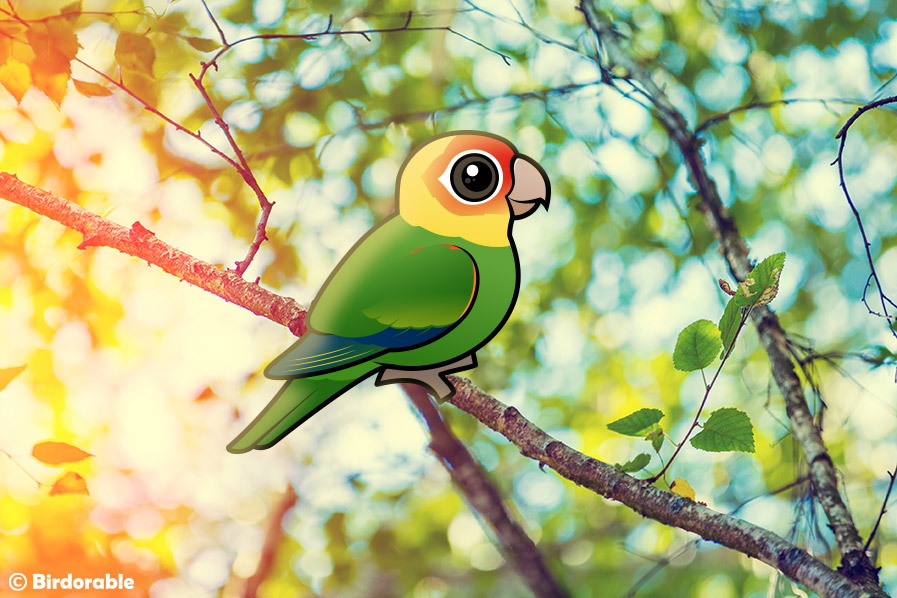 Birdorable Carolina Parakeet
