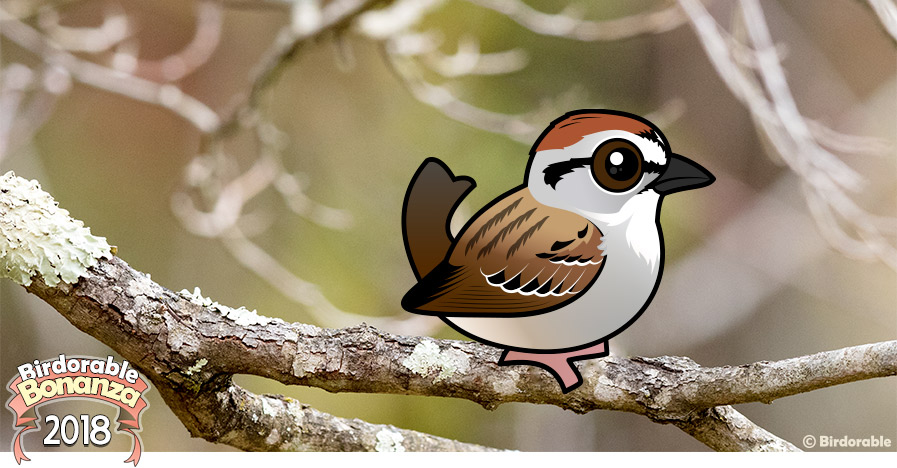 Cute Birdorable Chipping Sparrow