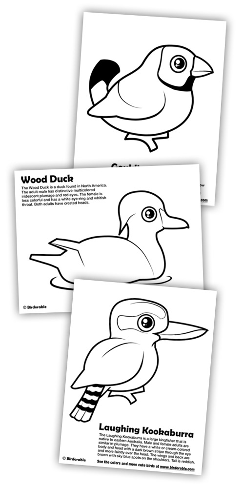 Birdorable Coloring Pages: Gouldian Finch, Wood Duck and Laughing Kookaburra