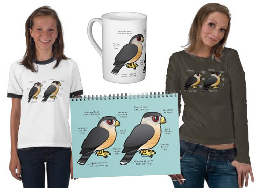 Cooper's Hawk versus Sharp-shinned Hawk merchandise