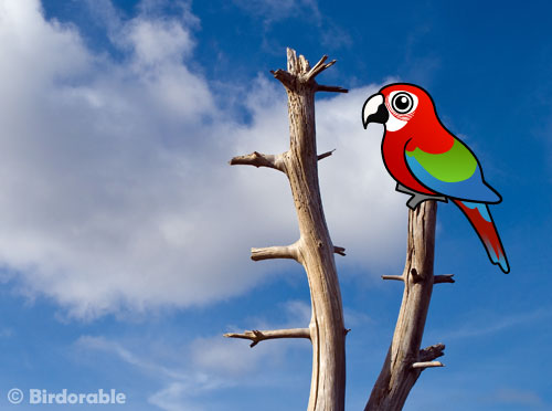 Birdorable Green-winged Macaw