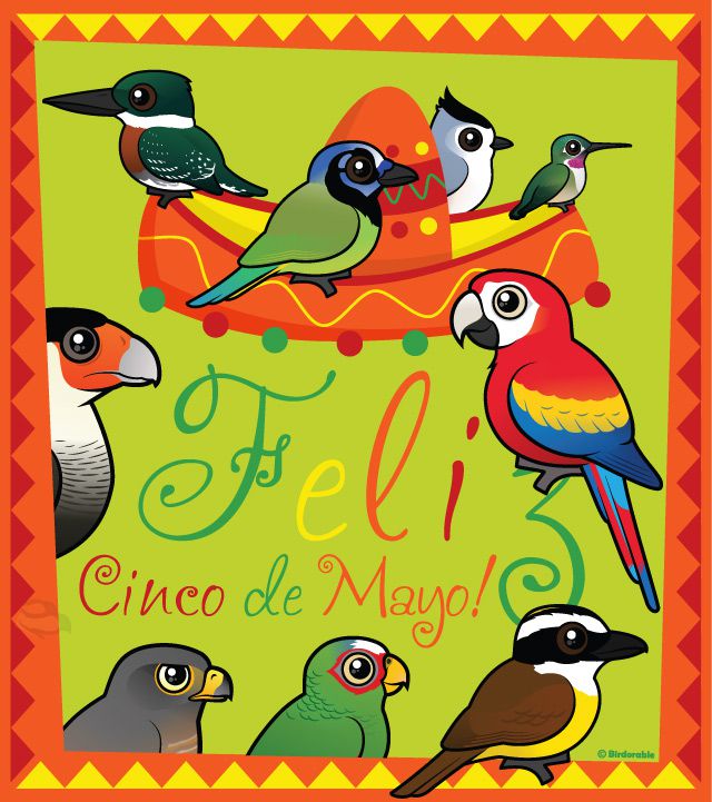 Feliz Cinco de Mayo with Birdorable birds