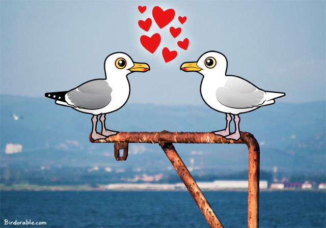 Birdorable Herring Gull and Glaucous Gull in love