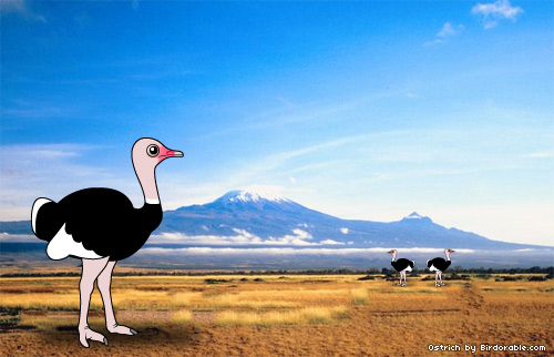 Birdorable Ostrich