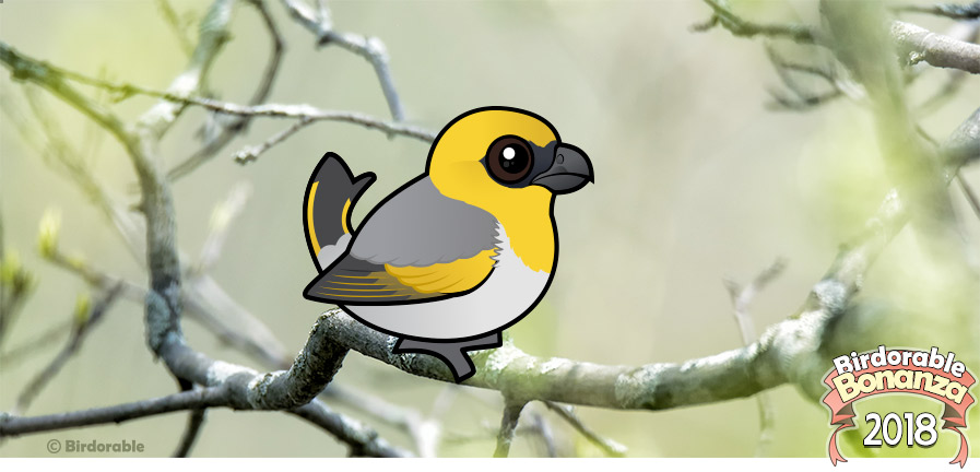 Cute Birdorable Palila