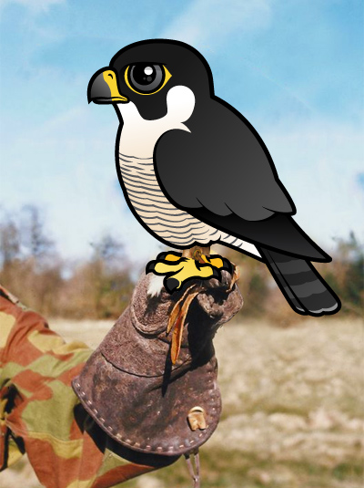 Birdorable Peregrine Falcon on a glove