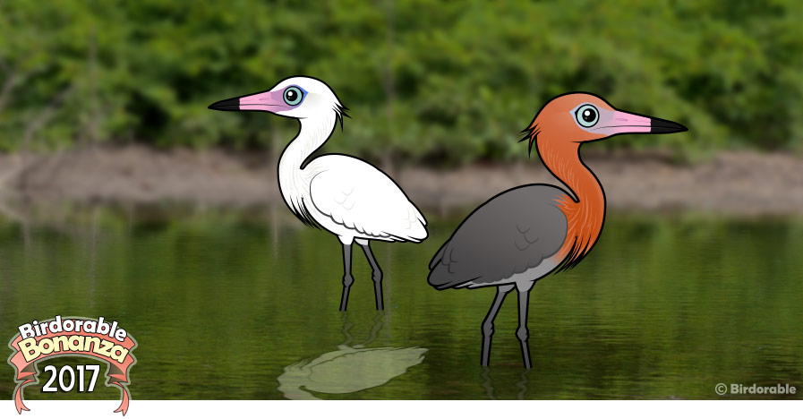 Birdorable Reddish Egret