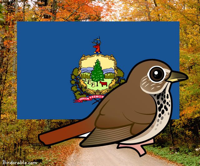 State Birdorable of Vermont: the Hermit Thrush
