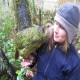 Photo of Kakapo