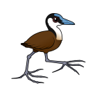 Thumbnail of Birdorable African Jacana 