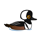 Thumbnail of Birdorable Hooded Merganser 