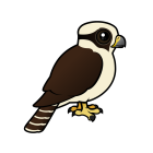 Thumbnail of Birdorable Laughing Falcon 