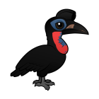 Thumbnail of Birdorable Abyssinian Ground Hornbill Male