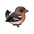 Thumbnail of Birdorable Common Chaffinch 
