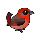 Thumbnail of Birdorable Hepatic Tanager 