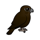 Thumbnail of Birdorable Black Falcon 
