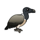 Thumbnail of Birdorable Slender-billed Vulture 