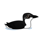 Thumbnail of Birdorable Scripp's Murrelet 