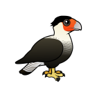 Thumbnail of Birdorable Crested Caracara 
