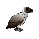 Thumbnail of Birdorable White-backed Vulture 