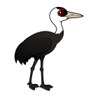 Thumbnail of Birdorable Hooded Crane 