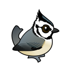 Thumbnail of Birdorable Bridled Titmouse 