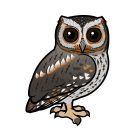 Thumbnail of Birdorable Flammulated Owl 