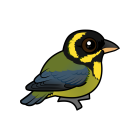 Thumbnail of Birdorable Gold-ringed Tanager 