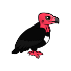 Thumbnail of Birdorable Red-headed Vulture 