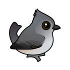 Thumbnail of Birdorable Oak Titmouse 