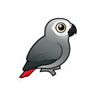 Thumbnail of Birdorable Gray Parrot 