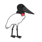 Thumbnail of Birdorable Jabiru 