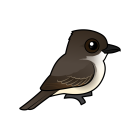 Thumbnail of Birdorable Eastern Phoebe 