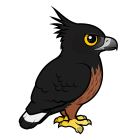 Thumbnail of Birdorable Black-and-chestnut Eagle 