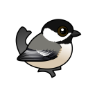 Thumbnail of Birdorable Black-capped Chickadee 