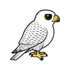Thumbnail of Birdorable Gyrfalcon 