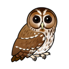 Thumbnail of Birdorable Tawny Owl 