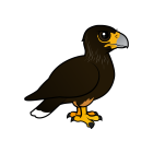 Thumbnail of Birdorable Striated Caracara 