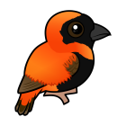Thumbnail of Birdorable Southern Red Bishop 