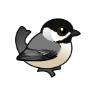 Thumbnail of Birdorable Carolina Chickadee 