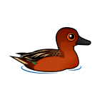 Thumbnail of Birdorable Cinnamon Teal 