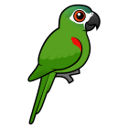 Thumbnail of Birdorable Red-shouldered Macaw 