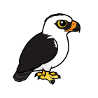 Thumbnail of Birdorable Black-and-white Hawk-Eagle 