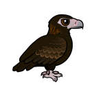Thumbnail of Birdorable Wedge-tailed Eagle 