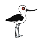 Thumbnail of Birdorable Andean Avocet 