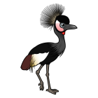 Thumbnail of Birdorable Black Crowned-Crane 